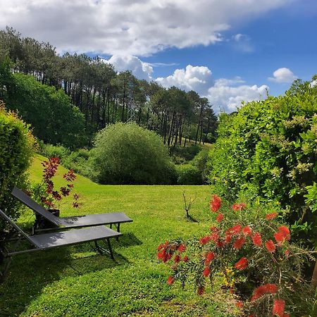 Appartement Calme Avec Jardin Bidart Biarritz Exteriér fotografie