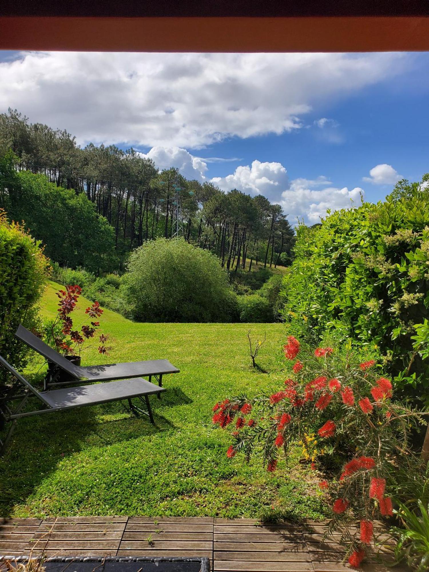 Appartement Calme Avec Jardin Bidart Biarritz Exteriér fotografie